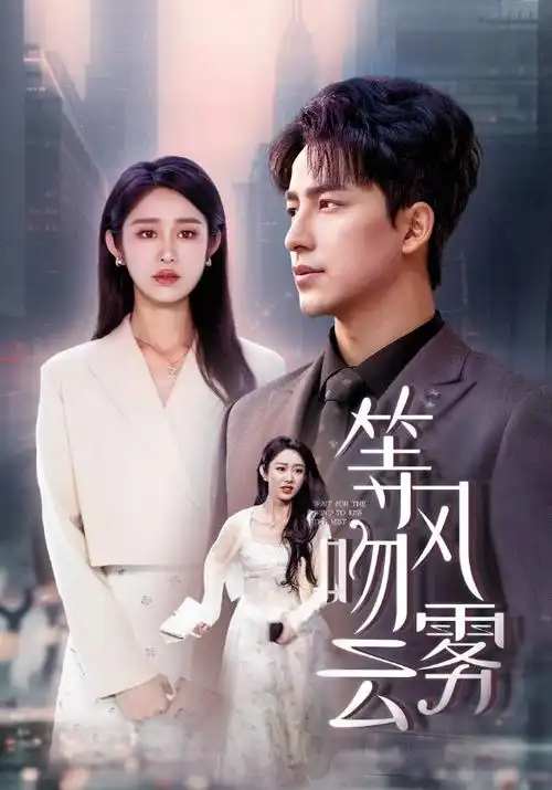 赘婿 海报